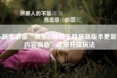 玩家必备“微乐a3辅助工具最新版本更新内容摘要”详细开挂玩法