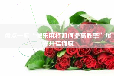 盘点一款“微乐麻将如何提高胜率”爆光开挂猫腻 盘点一款“微乐麻将如何提高胜率”爆光开挂猫腻