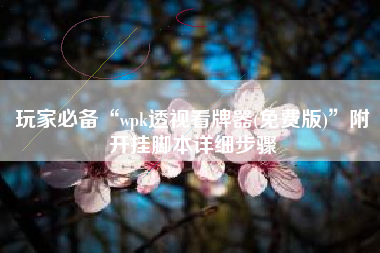 玩家必备“wpk透视看牌器(免费版)”附开挂脚本详细步骤