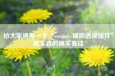 给大家通报一下“waapoke辅助透视插件”其实真的确实有挂