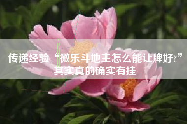 传递经验“微乐斗地主怎么能让牌好?”其实真的确实有挂