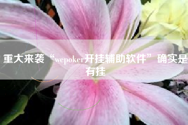 重大来袭“wepoker开挂辅助软件”确实是有挂