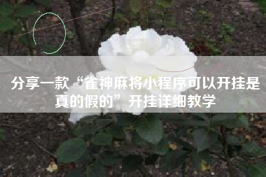 分享一款“雀神麻将小程序可以开挂是真的假的”开挂详细教学