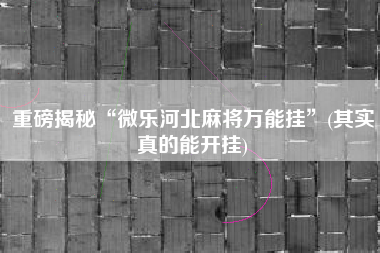 重磅揭秘“微乐河北麻将万能挂”(其实真的能开挂)