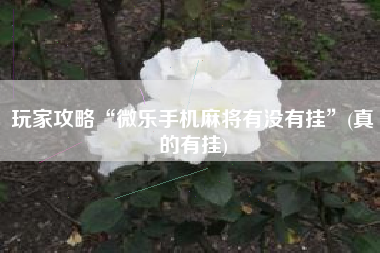 玩家攻略“微乐手机麻将有没有挂”(真的有挂)