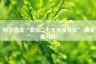科学直击“微乐二七王有没有挂”(确实能开挂)