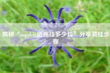 揭秘“aapoker透视挂多少钱”分享装挂步骤