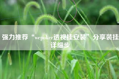 强力推荐“wepoker透视挂安装”分享装挂详细步