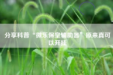 分享科普“微乐保皇辅助器”原来真可以开挂