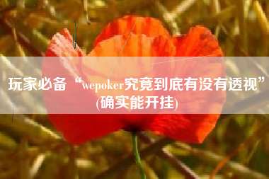玩家必备“wepoker究竟到底有没有透视”(确实能开挂)