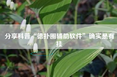 分享科普“德扑圈辅助软件”确实是有挂