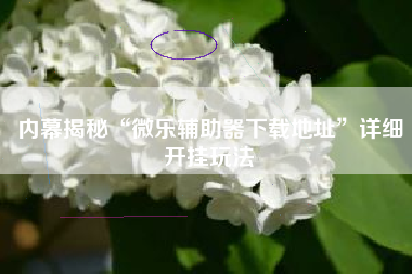 内幕揭秘“微乐辅助器下载地址”详细开挂玩法