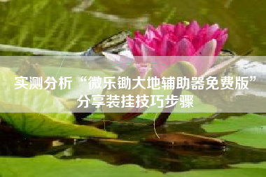 实测分析“微乐锄大地辅助器免费版”分享装挂技巧步骤