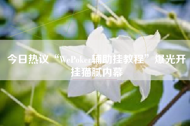 今日热议“WePoker辅助挂教程”爆光开挂猫腻内幕