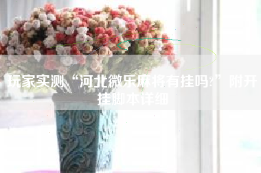 玩家实测“河北微乐麻将有挂吗?”附开挂脚本详细 玩家实测“河北微乐麻将有挂吗?”附开挂脚本详细