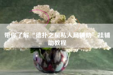 带你了解“德扑之星私人局辅助”挂辅助教程 带你了解“德扑之星私人局辅助”挂辅助教程
