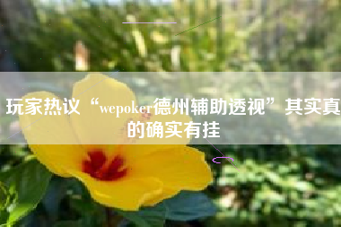 玩家热议“wepoker德州辅助透视”其实真的确实有挂