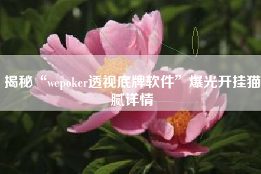揭秘“wepoker透视底牌软件”爆光开挂猫腻详情