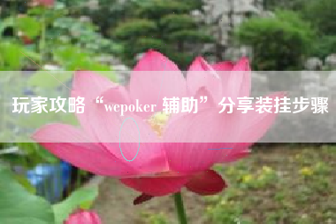 玩家攻略“wepoker 辅助”分享装挂步骤 玩家攻略“wepoker 辅助”分享装挂步骤