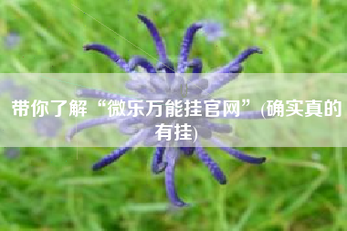 带你了解“微乐万能挂官网”(确实真的有挂)