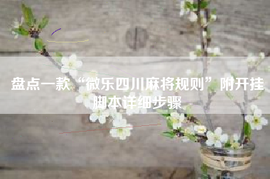 盘点一款“微乐四川麻将规则”附开挂脚本详细步骤