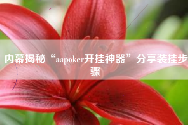 内幕揭秘“aapoker开挂神器”分享装挂步骤