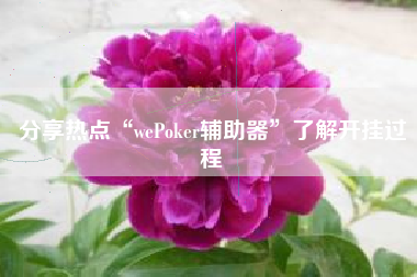 分享热点“wePoker辅助器”了解开挂过程