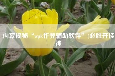 内幕揭秘“wpk作弊辅助软件”(必胜开挂神