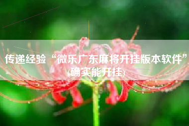 传递经验“微乐广东麻将开挂版本软件”(确实能开挂)