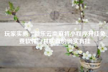 玩家实测“微乐云南麻将小程序开挂免费软件”其实真的确实有挂 玩家实测“微乐云南麻将小程序开挂免费软件”其实真的确实有挂