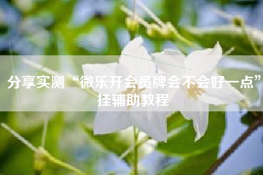 分享实测“微乐开会员牌会不会好一点”挂辅助教程