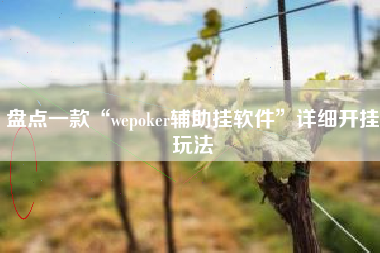 盘点一款“wepoker辅助挂软件”详细开挂玩法