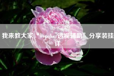 我来教大家“wepoker透视辅助”分享装挂详 我来教大家“wepoker透视辅助”分享装挂详