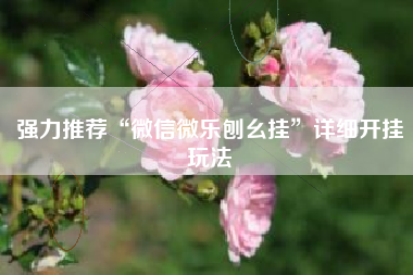 强力推荐“微信微乐刨幺挂”详细开挂玩法