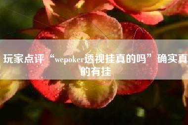 玩家点评“wepoker透视挂真的吗”确实真的有挂 玩家点评“wepoker透视挂真的吗”确实真的有挂
