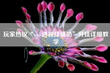 玩家热议“wpk透视挂辅助”开挂详细教学 玩家热议“wpk透视挂辅助”开挂详细教学