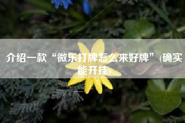 介绍一款“微乐打牌怎么来好牌”(确实能开挂)