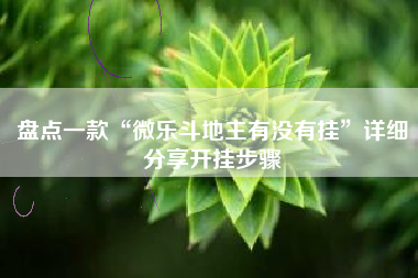 盘点一款“微乐斗地主有没有挂”详细分享开挂步骤