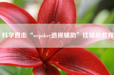 科学直击“wepoker透视辅助”挂辅助教程 科学直击“wepoker透视辅助”挂辅助教程