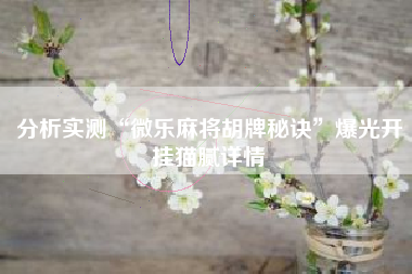 分析实测“微乐麻将胡牌秘诀”爆光开挂猫腻详情 分析实测“微乐麻将胡牌秘诀”爆光开挂猫腻详情