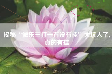 揭秘“微乐三打一有没有挂”太坑人了,真的有挂