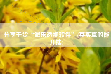 分享干货“微乐透视软件”(其实真的能开挂)