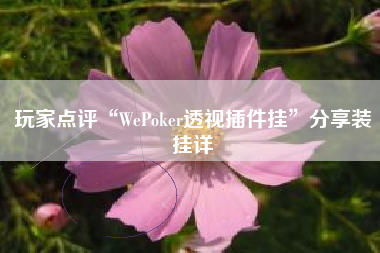 玩家点评“WePoker透视插件挂”分享装挂详 玩家点评“WePoker透视插件挂”分享装挂详