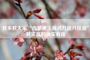 我来教大家“内蒙微乐麻将万能开挂器”其实真的确实有挂 我来教大家“内蒙微乐麻将万能开挂器”其实真的确实有挂