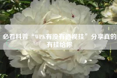 必看科普“WPK有没有透视挂”分享真的有挂给你 必看科普“WPK有没有透视挂”分享真的有挂给你