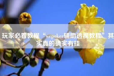 玩家必看教程“wepoker辅助透视教程”其实真的确实有挂 玩家必看教程“wepoker辅助透视教程”其实真的确实有挂