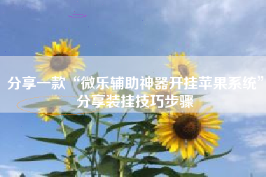 分享一款“微乐辅助神器开挂苹果系统”分享装挂技巧步骤