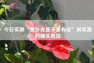 今日实测“微扑克是不是有挂”其实真的确实有挂 今日实测“微扑克是不是有挂”其实真的确实有挂
