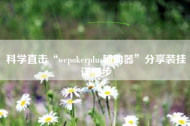 科学直击“wepokerplus辅助器”分享装挂详细步 科学直击“wepokerplus辅助器”分享装挂详细步