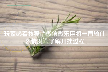 玩家必看教程“微信微乐麻将一直输什么情况”了解开挂过程 玩家必看教程“微信微乐麻将一直输什么情况”了解开挂过程